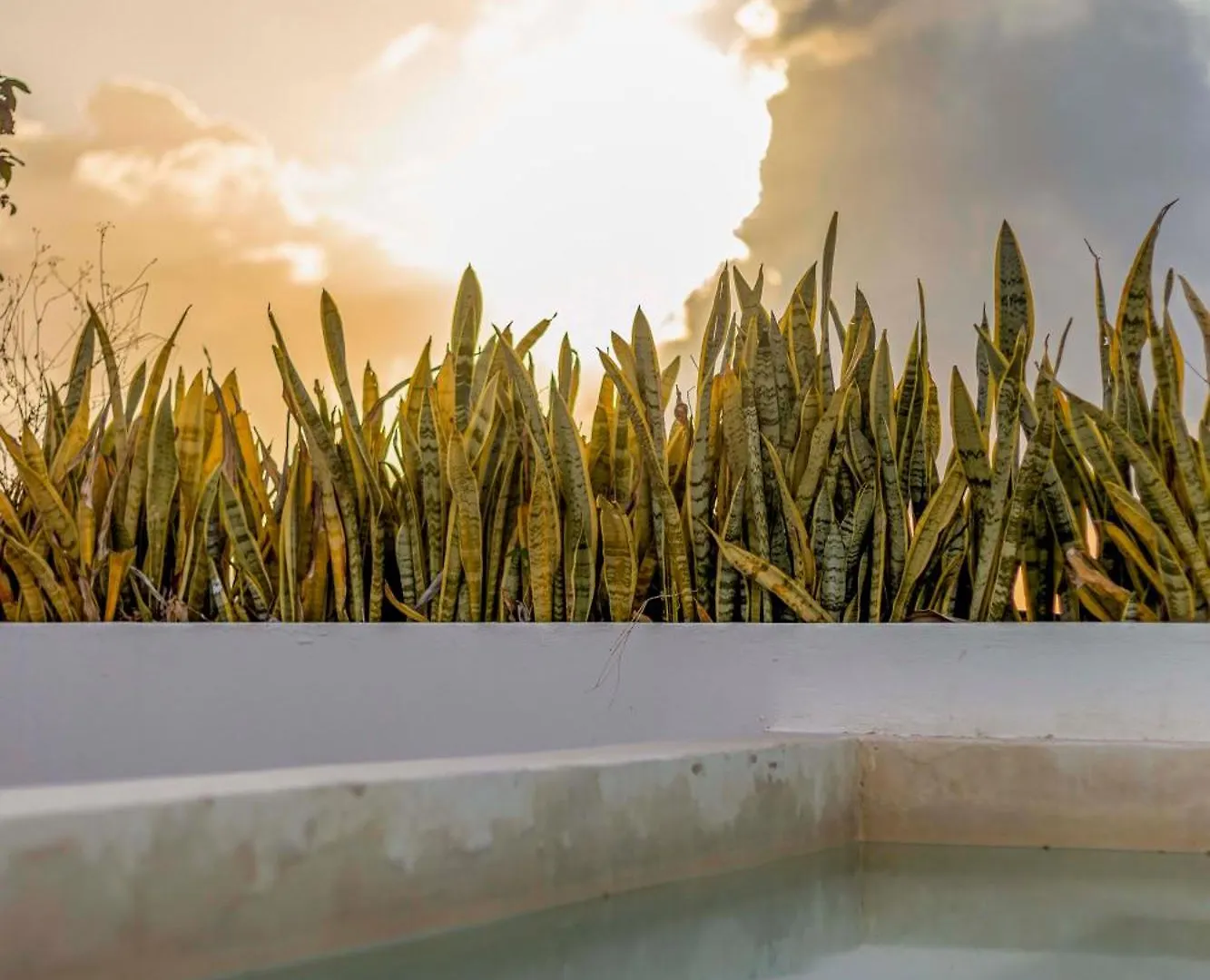 Exclusive 5Th Ave Apt With Private Pool Playa del Carmen 0*,