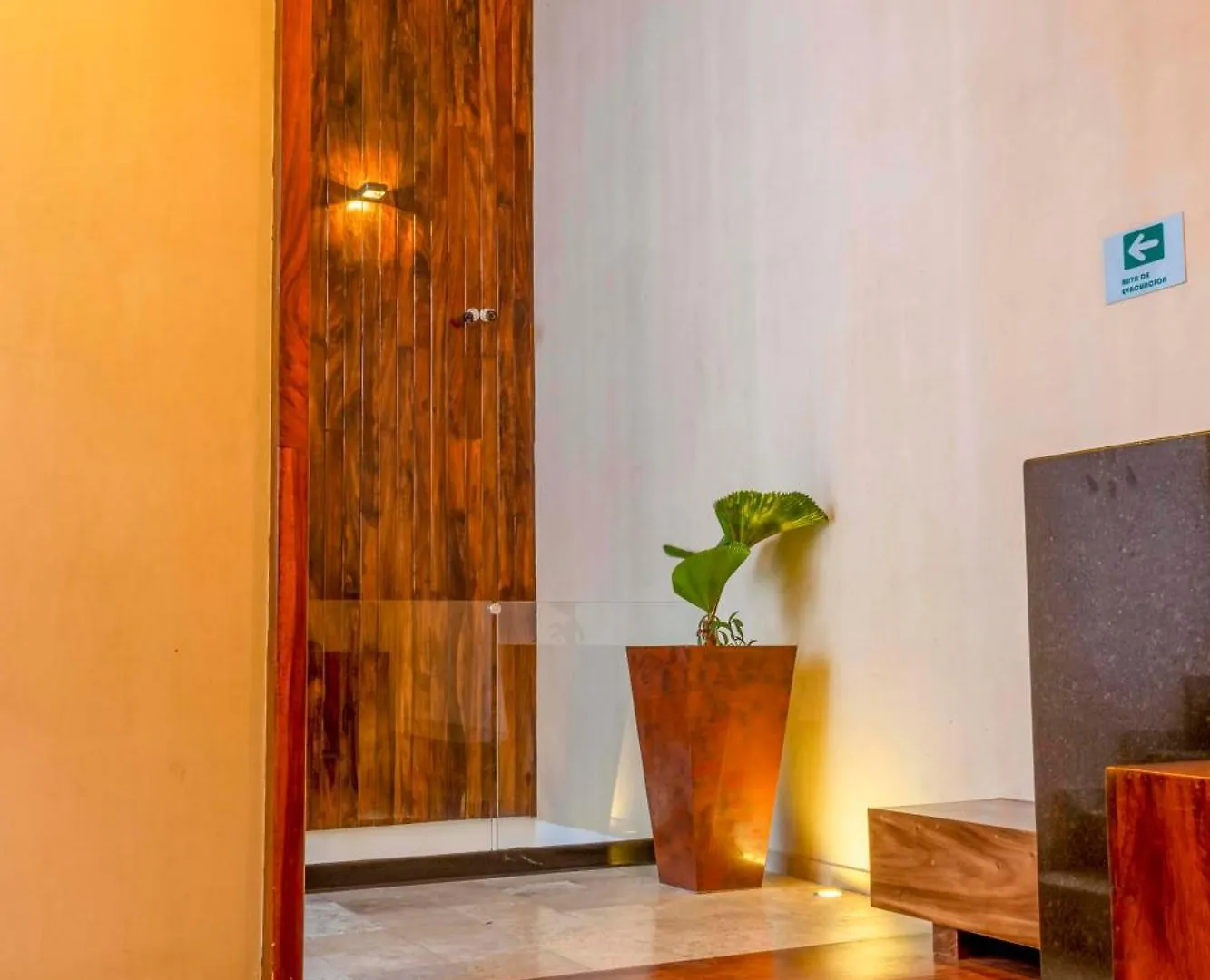 Exclusive 5Th Ave Apt With Private Pool Playa del Carmen Apartment